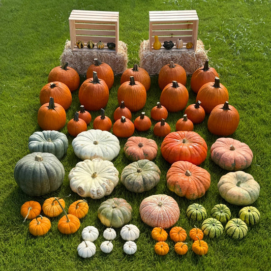 Package 4 The Autumn Estate